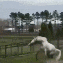 免费吃瓜动态头像图文,带你领略潮流趣味